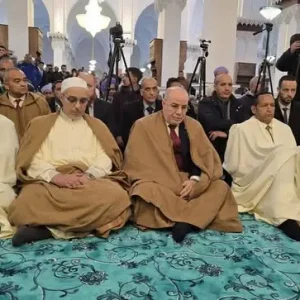 636799088_122146394090968567_7682369437139027618_n